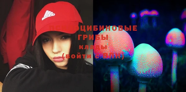 альфа пвп Гусь-Хрустальный