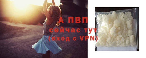 стаф Гусиноозёрск