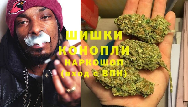 прущий лед Гусев
