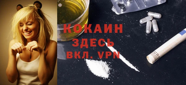 прущий лед Гусев